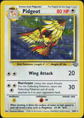 Pidgeot (8)