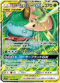 Venusaur & Snivy GX - 001/064