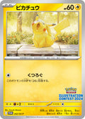 Pikachu - 242