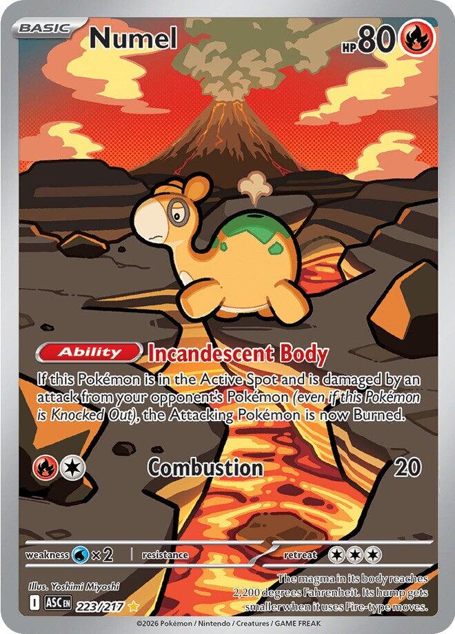 Numel - 223/217