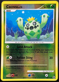 Cacnea