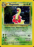 Meganium (11)